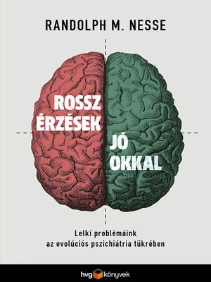 cover image of Rossz érzések jó okkal